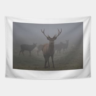 The Standoff (Deer In Fog) Tapestry