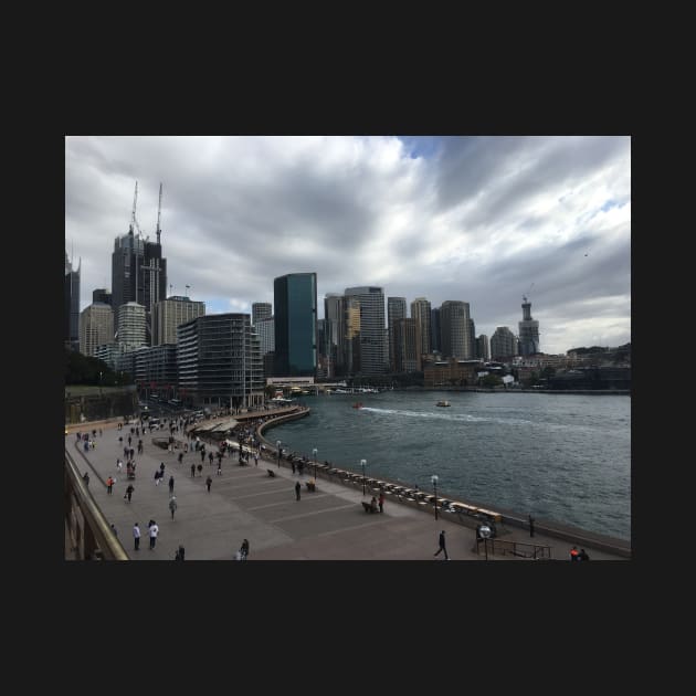 Sydney Harbor under an overcast sky by Dturner29