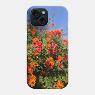 Desert Flowers in Golden Afternoon Sun Phone Case