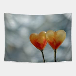 Two hearts Tapestry