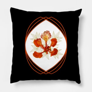 Flamboyant Flower - tropical Tree - Africa Pillow