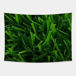 Fake Grass Tapestry