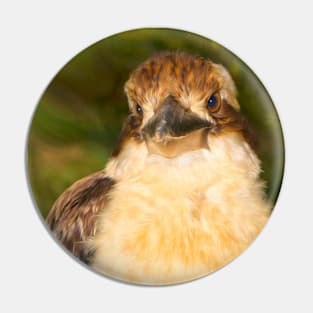 Painted laughing kookaburra Pin