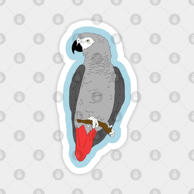 African Grey Parrot on Perch Magnet by Einstein Parrot