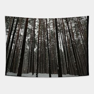 snowy forest beautiful treetops Tapestry