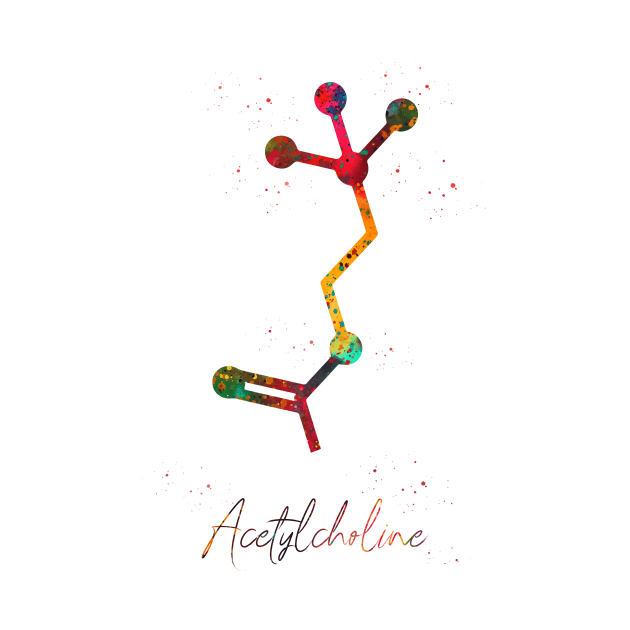 Acetylcholine molecule by erzebeth