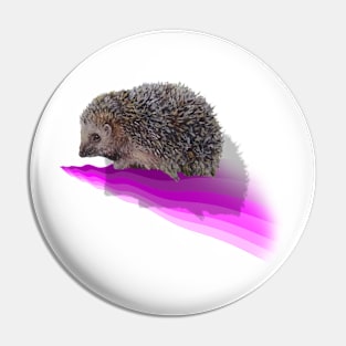 Painting of an English hedgehog on a 3D digital wave Pin