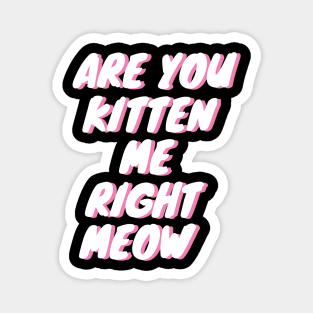 Are You Kitten Me Right Meow Magnet