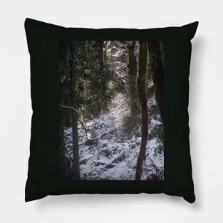 Forest Sun Rays in the Snow #24 Pillow