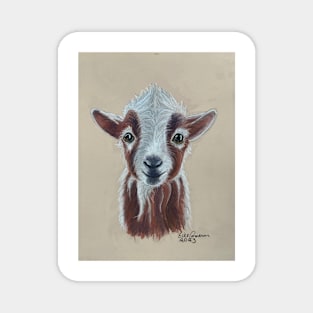 Goat Magnet