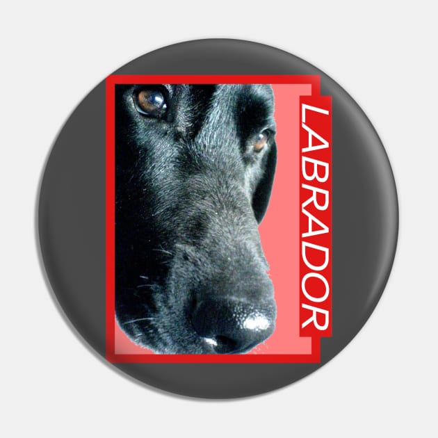 Labrador Pin by bobdijkers