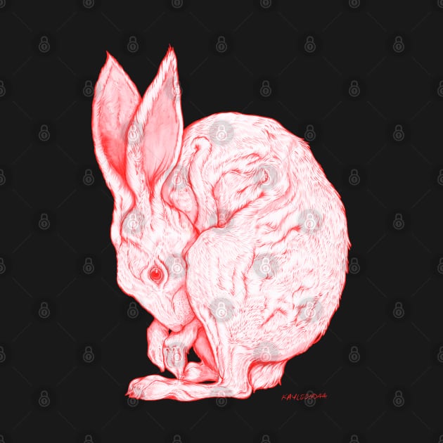 Jack Rabbit by Kayleendaa