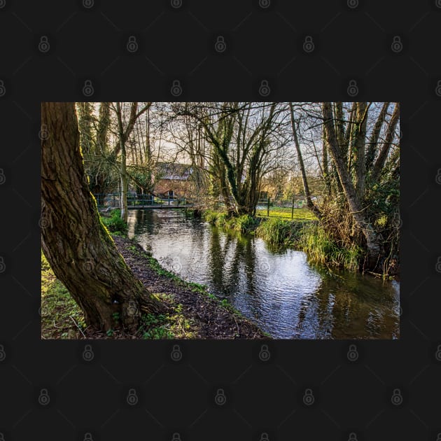 The River Pang at Tidmarsh by IanWL