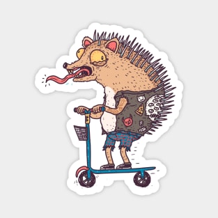 Punk Hedgehog Magnet