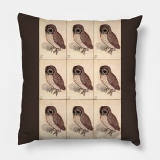 Little Owl by Albrecht Dürer Pillow