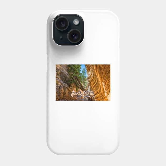 Lick Wash Trail Hike Phone Case by Gestalt Imagery