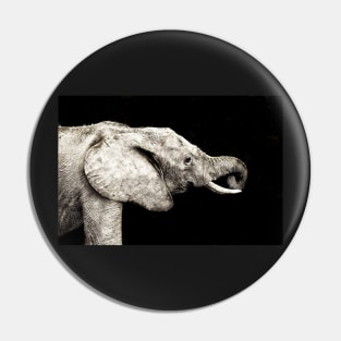 Rustic Elephant Pin