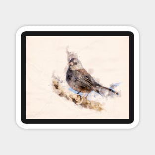 Dark Eyed Junco Watercolor Magnet