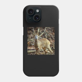 Roe buck in the forest Phone Case