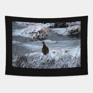 Red grouse in winter Tapestry