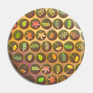 Autumn leaves Pin
