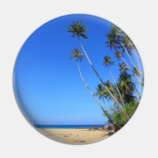 palm tree by the beach best beach picture Pin