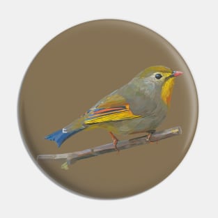 Japanese Hill Robin, red-billed Leiothrix Pin