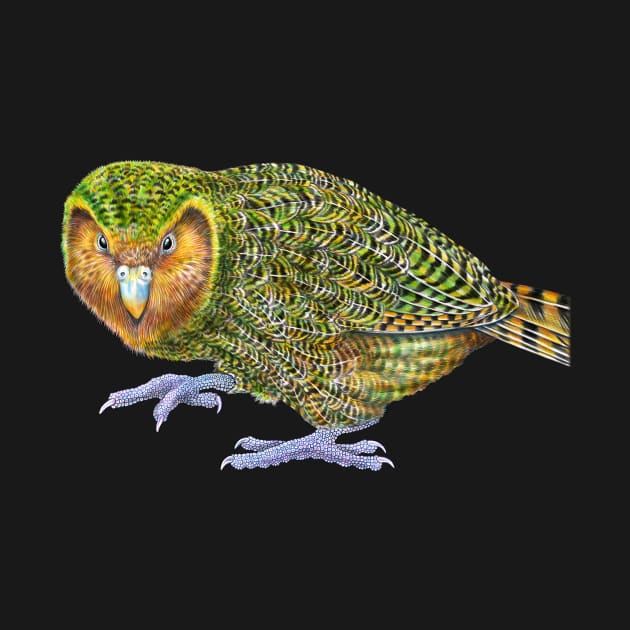 Kakapo by Tim Jeffs Art