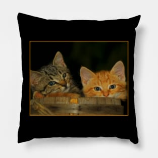 Howard Moon's Calming Kittens Pillow