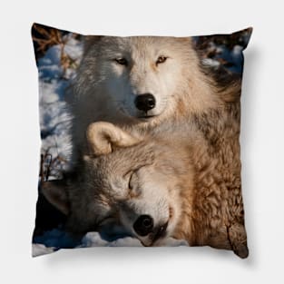 Arctic Wolves Pillow