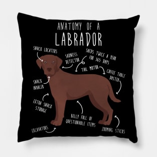 Chocolate Labrador Retriever Dog Anatomy Pillow