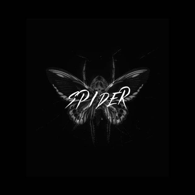 Spider by Paul Andrew