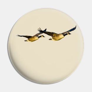 Incoming Canada Geese Pin