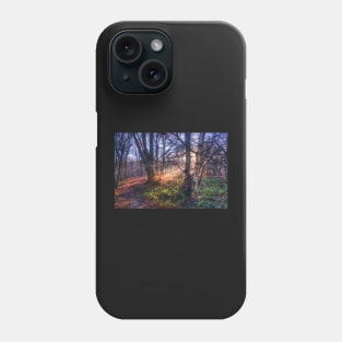 Autumn in Epping Forest Phone Case