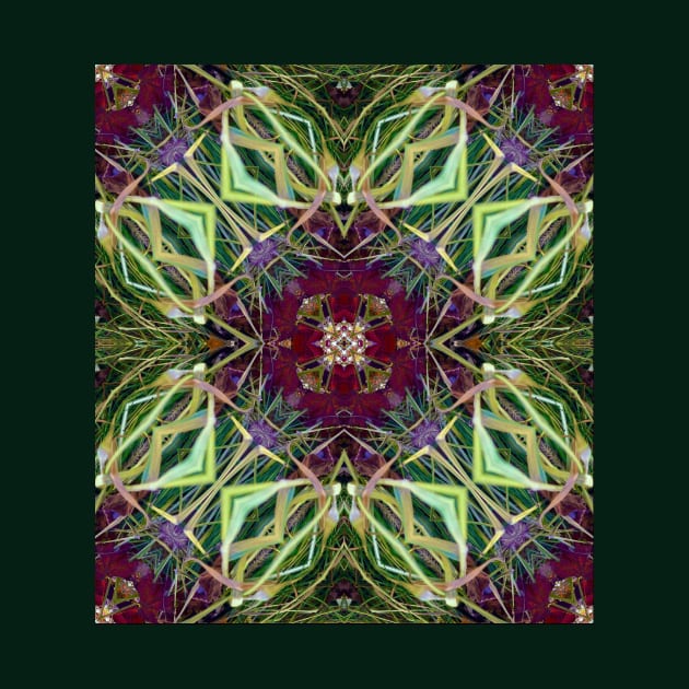 Kaleidoscopic Grasses by Amanda1775