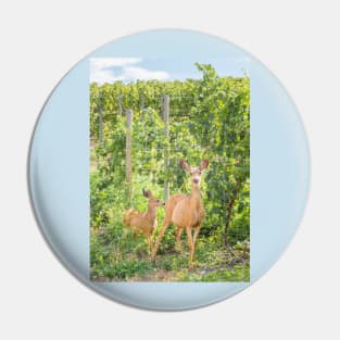 Doe and Fawn Standing in Summer Vineyard Pin