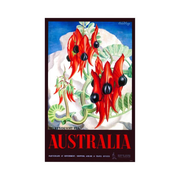 Vintage Travel Poster Australia Sturts Desert Pea by vintagetreasure