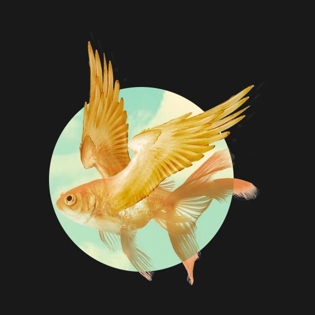 Flying Goldfish #2 by Vin Zzep