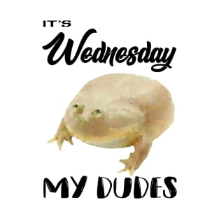 It is Wednesday, my dudes T-Shirt