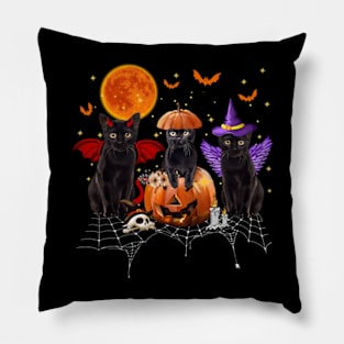 Black Cat Halloween, Black Cat Sitting On Pumpkin, Cat Halloween Pillow