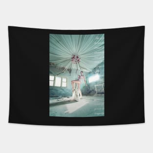 Backyard Ballet Tapestry