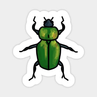 Beetle Magnet