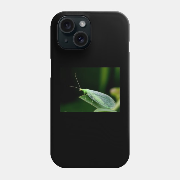 Wall Art - Lacewing Resting - Art print Phone Case by DigillusionStudio