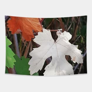 Colored leaves,  autumn, fall, leaves, leaf, Xmas, Christmas, spring, leaves decor, Tapestry