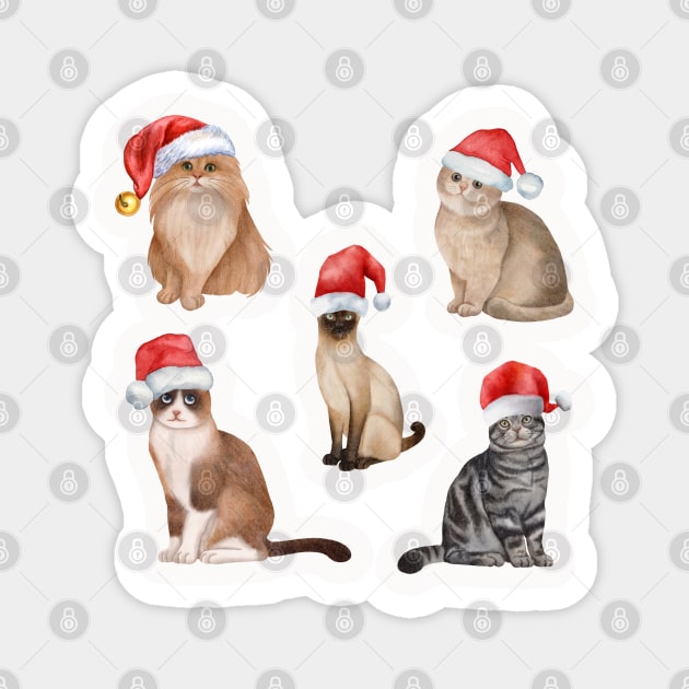 Cute And Lovely Animals With Christmas Magnet by AbstractArt14