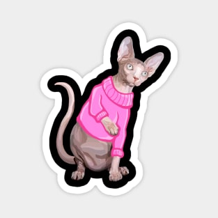 Cozy Sphynx Cat with Pink Knit Sweater Magnet