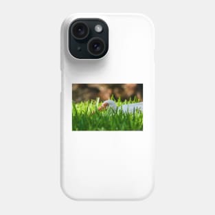 American white ibis 4 Phone Case