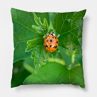 Red ladybug Pillow