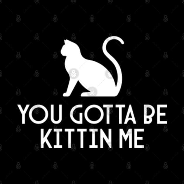 You Gotta Be Kittin Me by ozencmelih