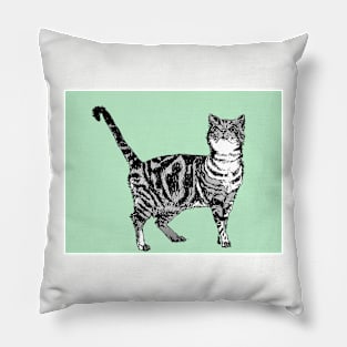 Cute Striped Tabby Cat Art Mint Green Pillow